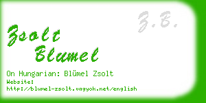 zsolt blumel business card
